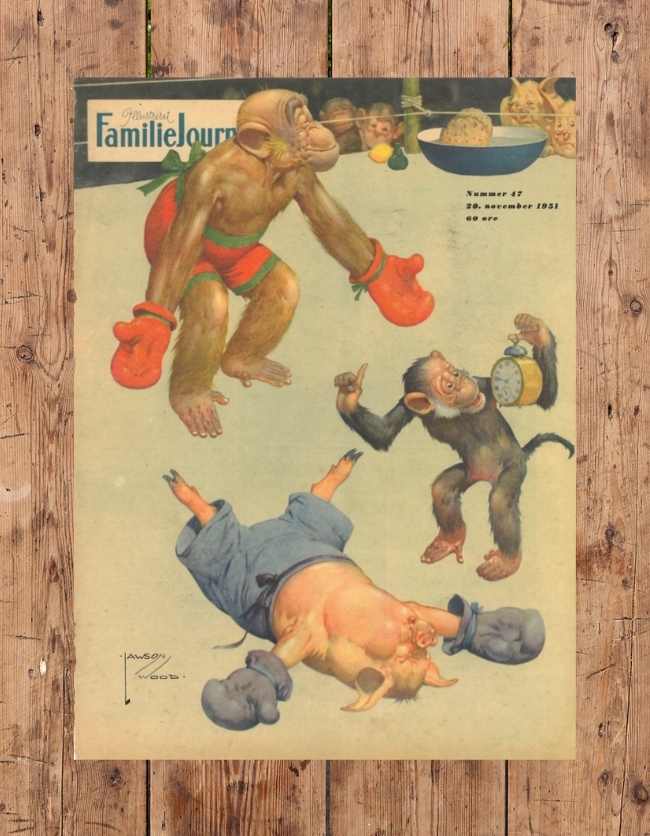 Dette er en original forside fra Familie Journal. På billedet en en abe og en gris som lige har bokset.